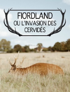 Fiordland, ou l'invasion des cervidés