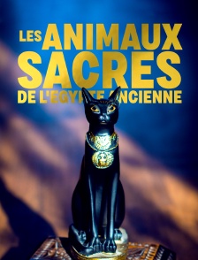 Les animaux sacrés de l'Egypte ancienne