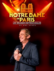 Notre-Dame de Paris - les grandes retrouvailles 25 ans après