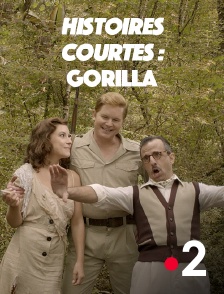 Histoires courtes : Gorilla