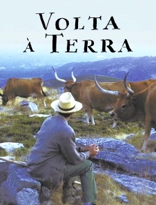 Volta À Terra