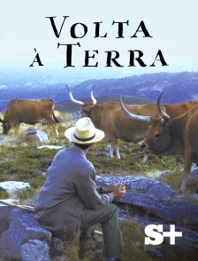 Society+ - Volta À Terra