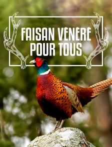 Faisan vénéré pour tous