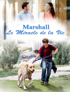 Marshall, le miracle de la vie
