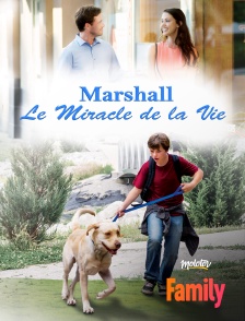 Molotov Channels Family - Marshall, le miracle de la vie