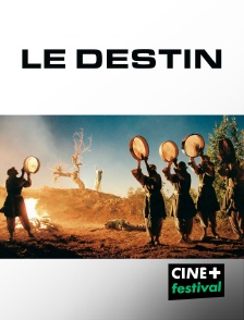 CINE+ Festival - Le destin