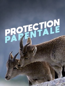 Protection parentale