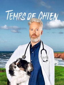 Temps de chien