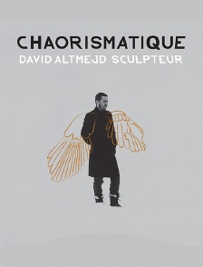 Chaorismatique, David Altmejd sculpteur