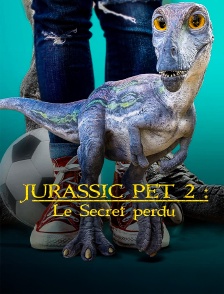 Jurassic Pet 2 : Le secret perdu