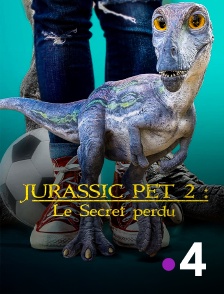 France 4 - Jurassic Pet 2 : Le secret perdu