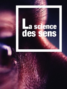 La science des sens