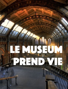 Le Museum prend vie