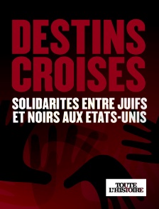 Toute l'Histoire - Destins croisés, solidarités entre juifs et noirs aux Etats-Unis