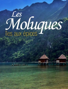 Les Moluques, îles aux épices