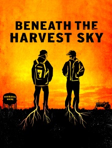 Beneath the harvest sky