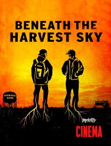 Beneath the harvest sky