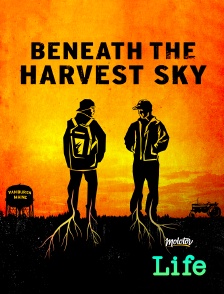 Molotov Channels Life - Beneath the harvest sky