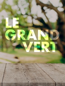 Le grand vert