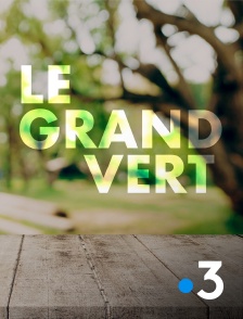 Le grand vert