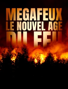 Mégafeux, le nouvel âge du feu