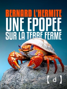 France TV Docs - Bernard l'hermite, une épopée sur la terre ferme