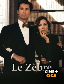 CINÉ Cinéma - Le zèbre