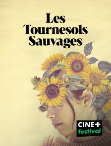 Les tournesols sauvages