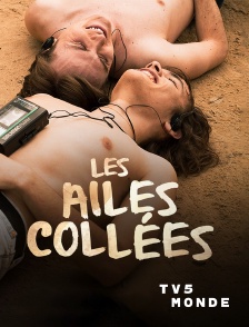 TV5MONDE - Les ailes collées