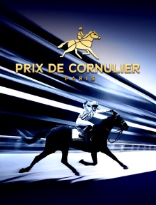 Courses hippiques : Prix de Cornullier