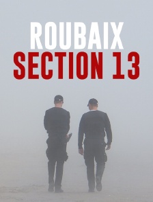 Roubaix section 13
