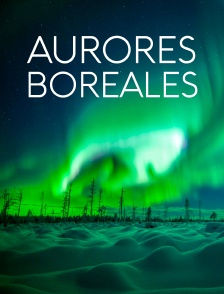 Aurores boréales