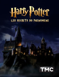 TMC - Harry Potter : les secrets du phénomène