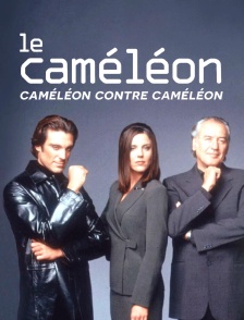 Le caméléon : Caméléon contre Caméléon
