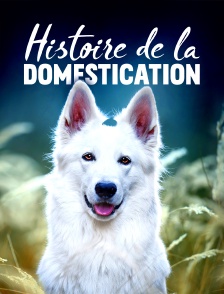 Histoire de la domestication