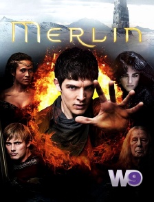 W9 - Merlin
