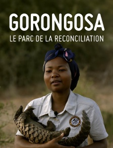 Gorongosa, le parc de la réconciliation
