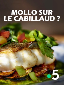 Mollo sur le cabillaud ?