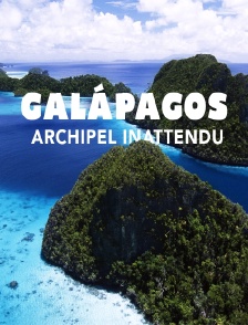 Galápagos, archipel inattendu