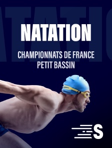 Natation - Championnats de France petit bassin