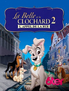 6ter - La belle et le clochard 2 : l'appel de la rue