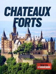 Toute l'Histoire - Châteaux forts