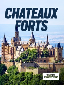Toute l'Histoire - Châteaux forts