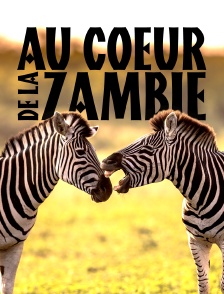 Au coeur de la Zambie