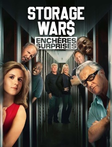 Storage Wars : enchères surprises