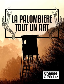 Chasse et pêche - La palombière, tout un art