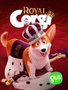 Royal Corgi