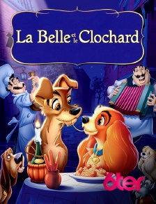 6ter - La belle et le clochard