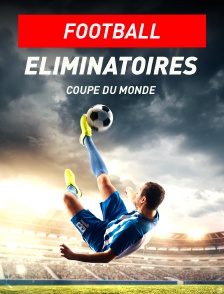 Football - Eliminatoires de la Coupe du monde