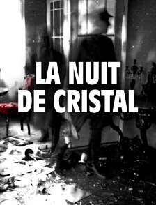La Nuit de cristal : Les pogroms de novembre